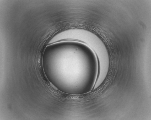 X0000115530709200911201720