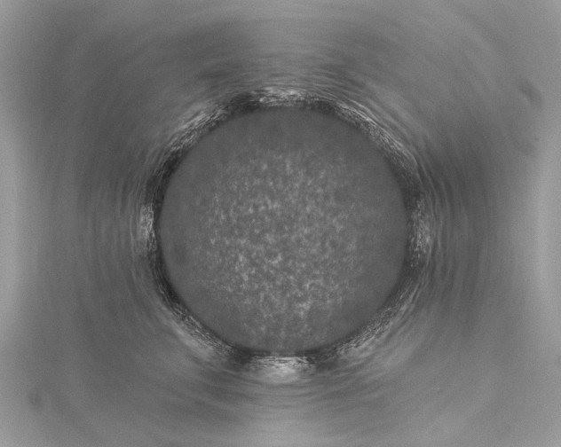 X0000115530711200911201720