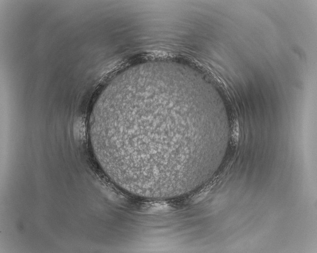 X0000115530715200911201719