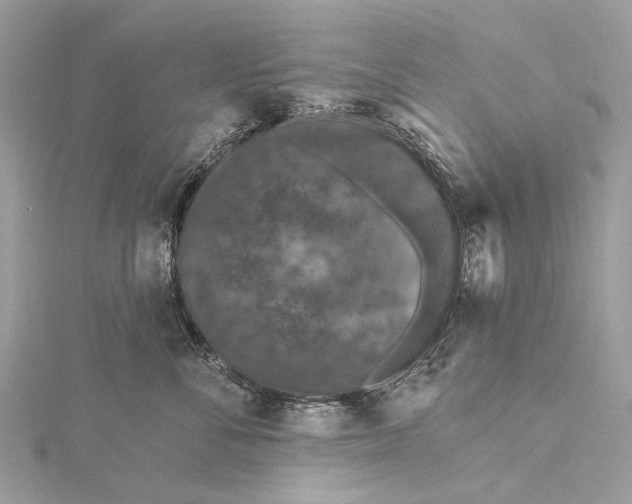 X0000115530716200911201719