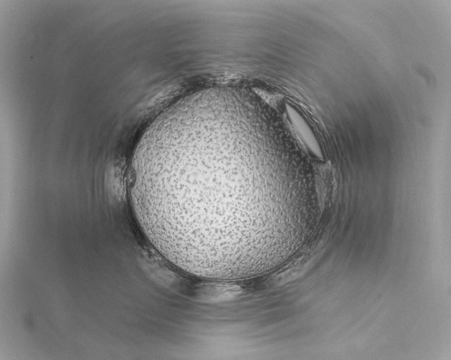 X0000115530719200911201719