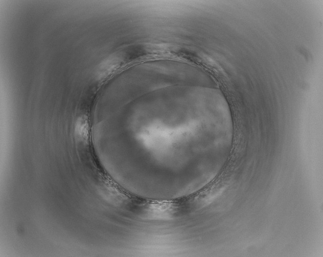 X0000115530720200911201719