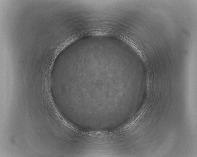 X0000115530721200911201719