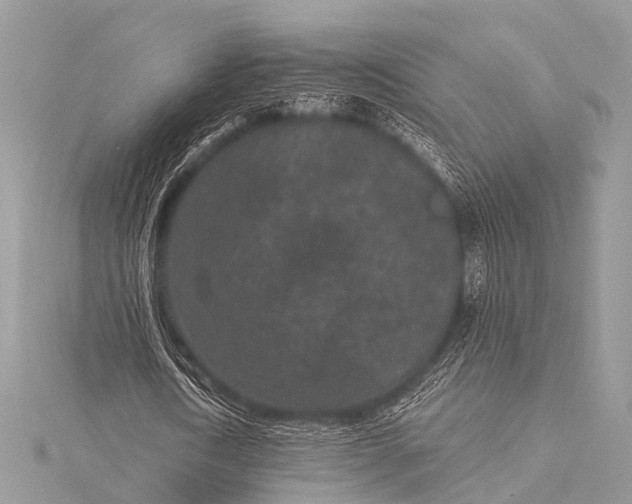 X0000115530722200911201719