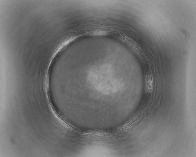 X0000115530726200911201719