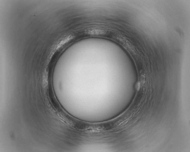 X0000115530727200911201719