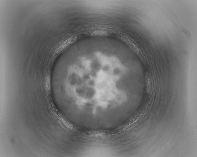 X0000115530729200911201719