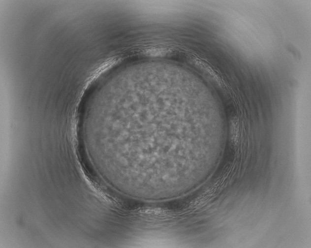 X0000115530730200911201719