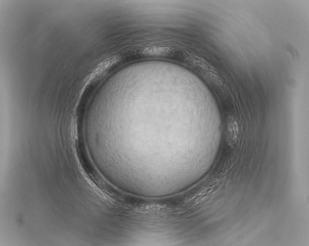 X0000115530734200911201719