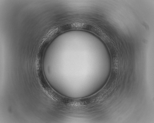 X0000115530738200911201719