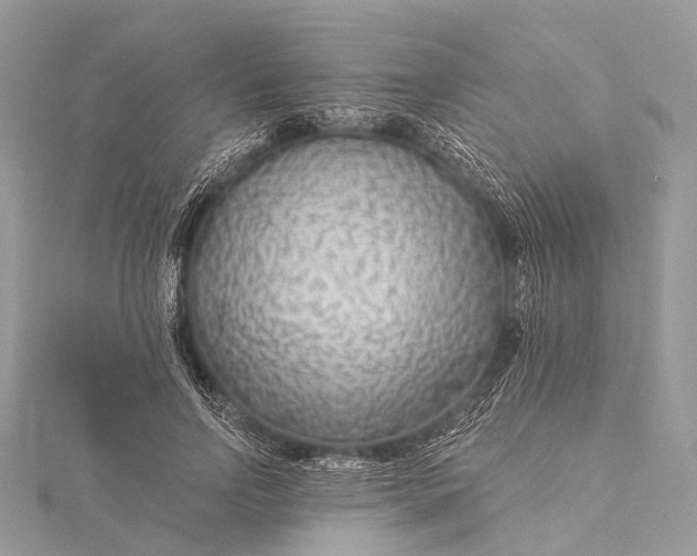 X0000115530742200911201719