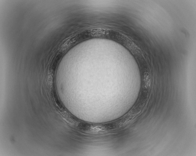 X0000115530753200911201719