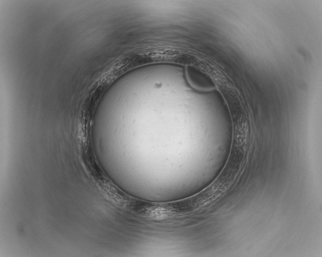 X0000115530755200911201719