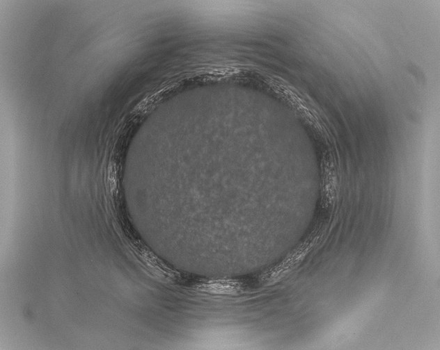 X0000115530758200911201719