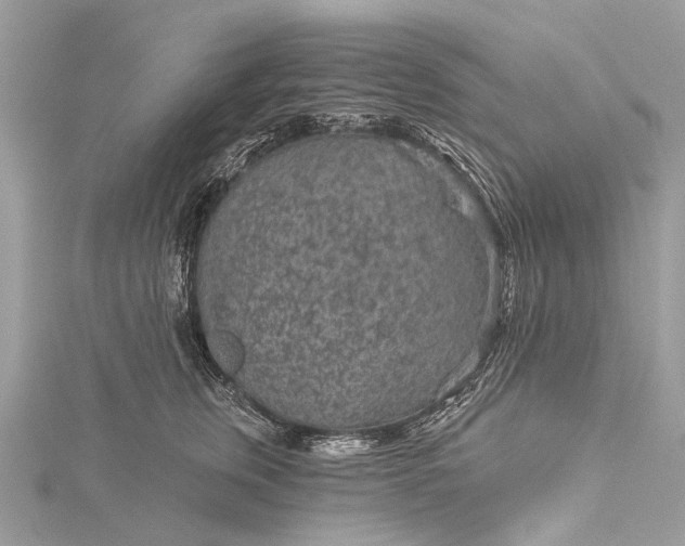 X0000115530759200911201719