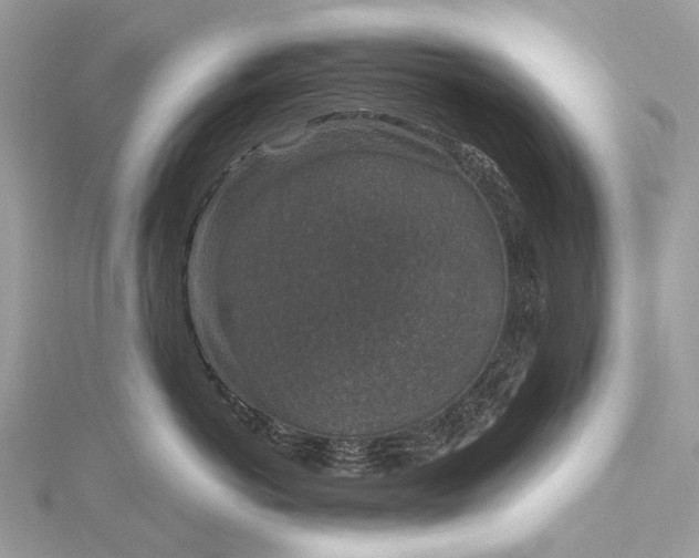 X0000115530766200911201719