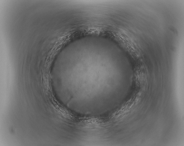 X0000115530769200911201719