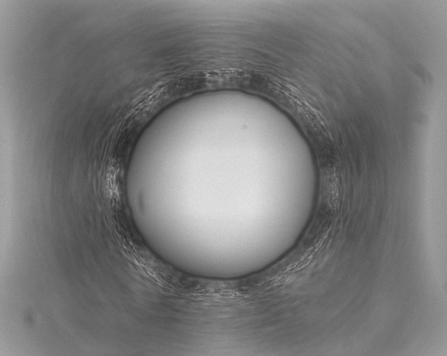 X0000115530770200911201719