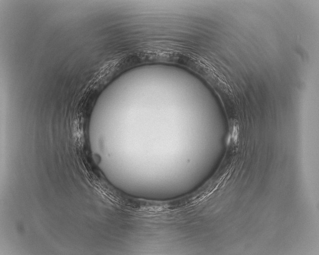 X0000115530771200911201719