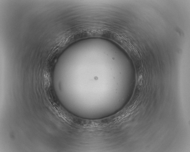 X0000115530772200911201719