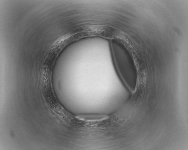 X0000115530773200911201719