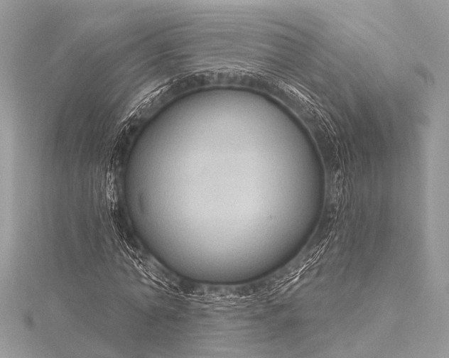 X0000115530774200911201719