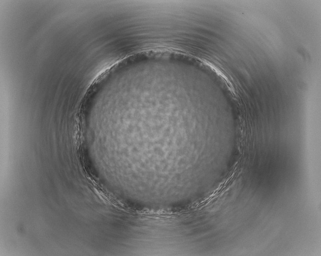 X0000115530775200911201719