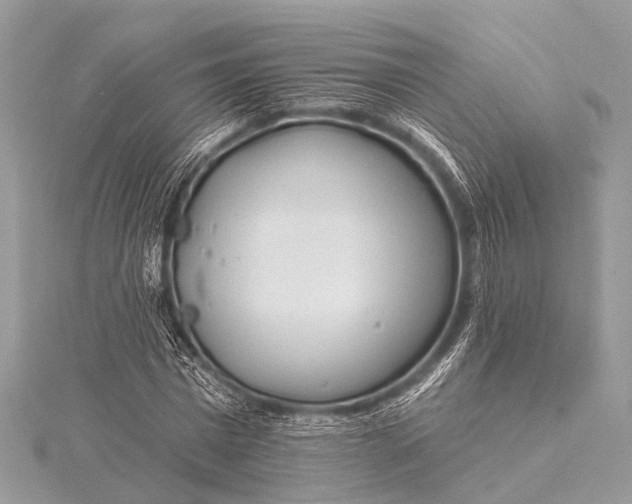 X0000115530777200911201719