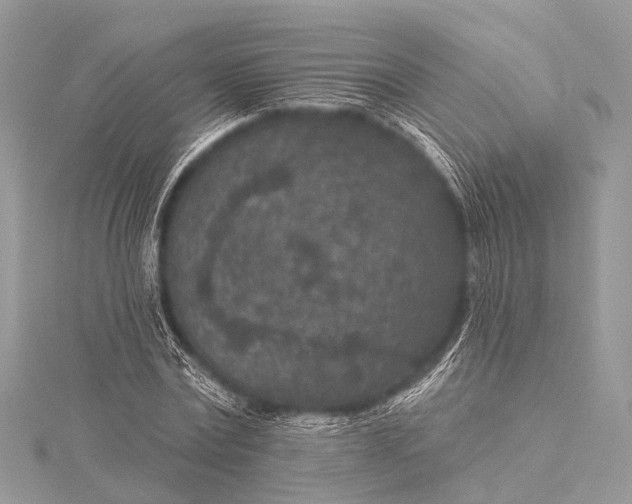 X0000115530779200911201719