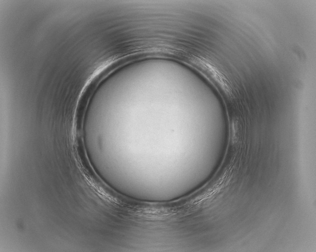 X0000115530780200911201719