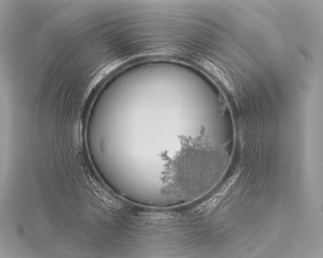 X0000115530781200911201719