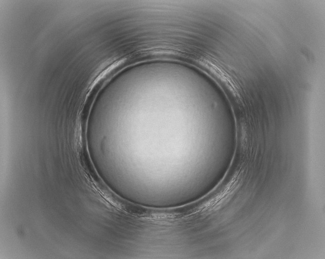 X0000115530782200911201719