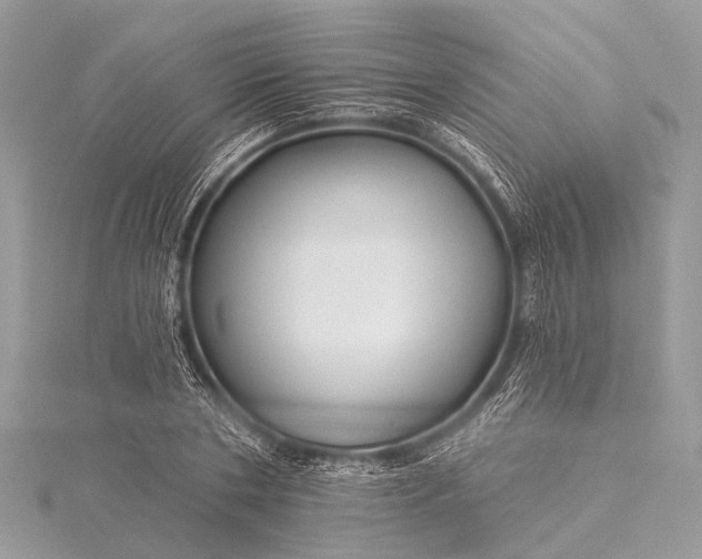 X0000115530786200911201719