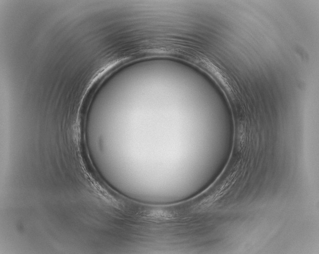 X0000115530787200911201719