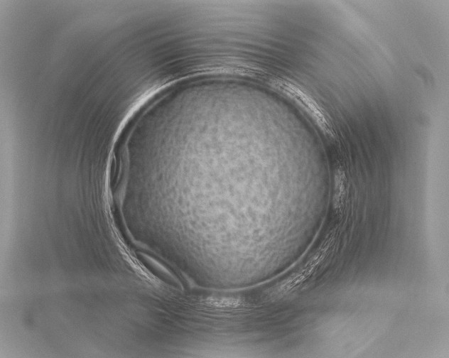 X0000115530788200911201719