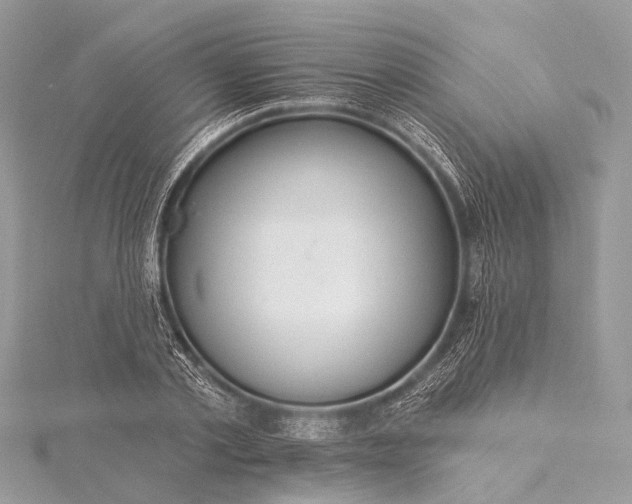 X0000115530789200911201719