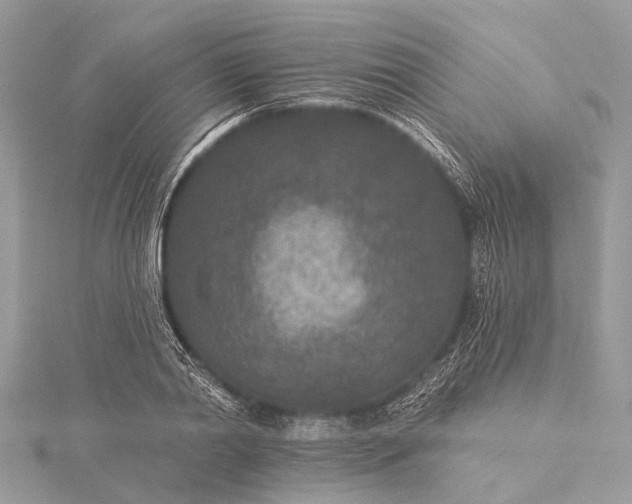 X0000115530790200911201719