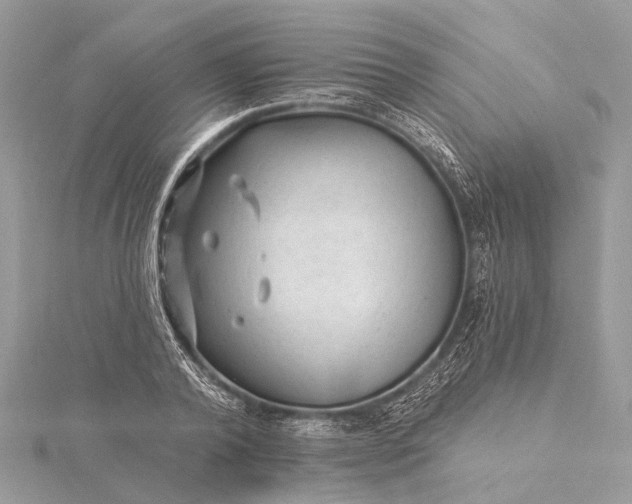 X0000115530792200911201718