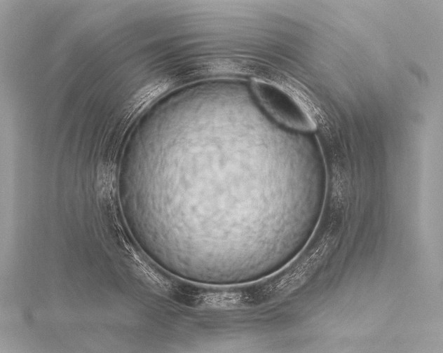 X0000115530793200911201718