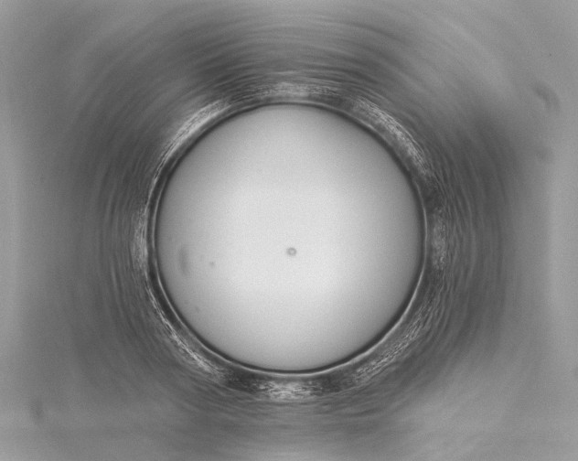 X0000115530794200911201718