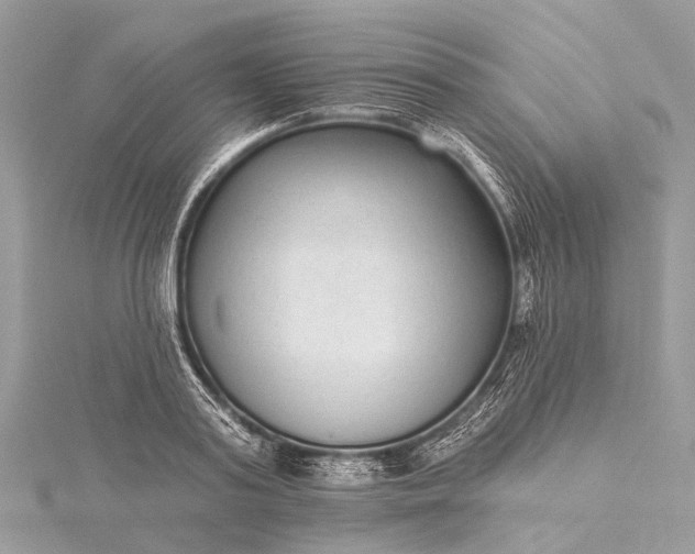 X0000115530795200911201718