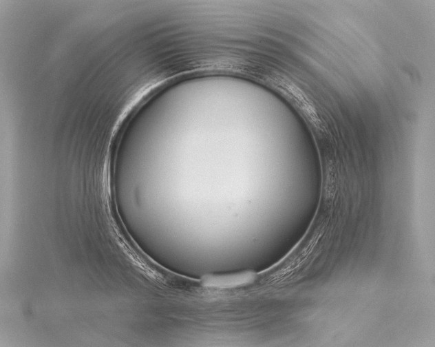 X0000115530796200911201718