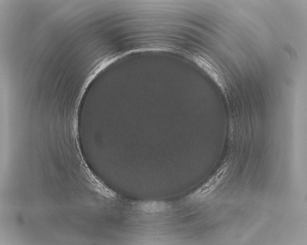 X0000115530797200911201718