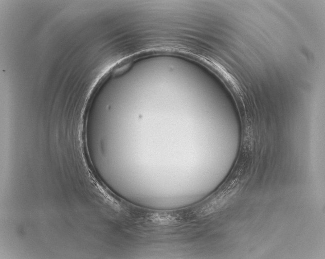 X0000115530799200911201718