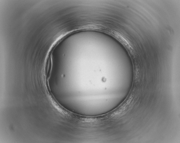 X0000115530800200911201718