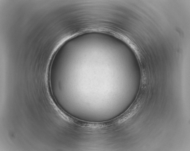 X0000115530803200911201718