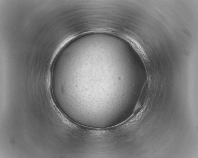 X0000115530804200911201718