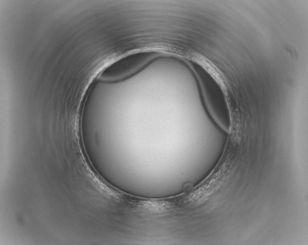 X0000115530805200911201718