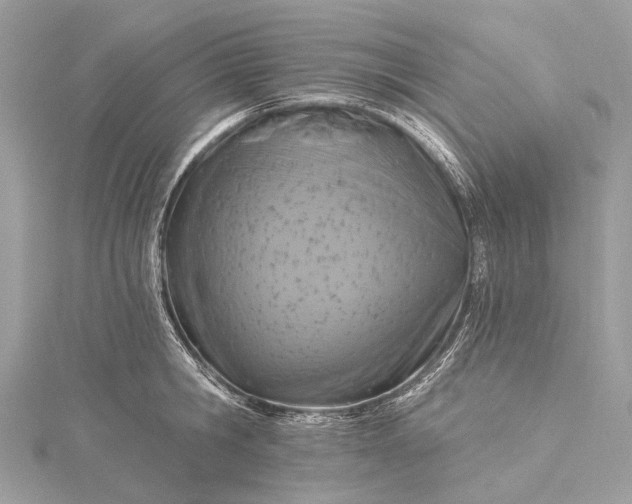 X0000115530806200911201718