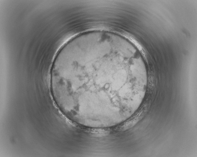 X0000115530807200911201718